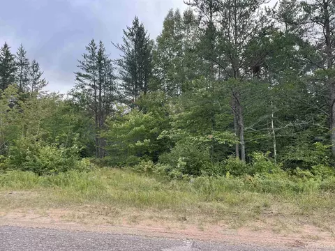 Tbd N Corner Sporley Lk Rd And Co Rd 456, Little Lake, MI 49833