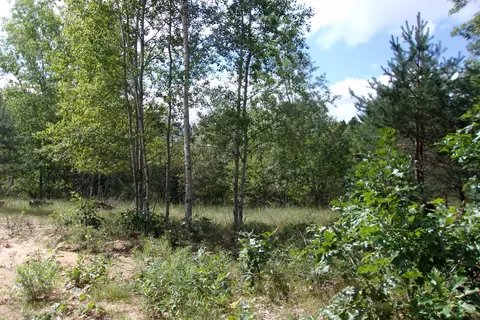 0000 Wadowski Park Dr, Lake, MI 48632