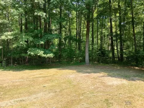 295 W Youngs, Gladwin, MI 48624 photo 9