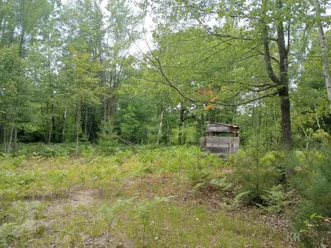295 W Youngs, Gladwin, MI 48624 photo 12
