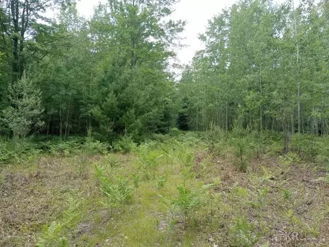 295 W Youngs, Gladwin, MI 48624 photo 16