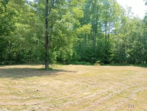 295 W Youngs, Gladwin, MI 48624 photo 8