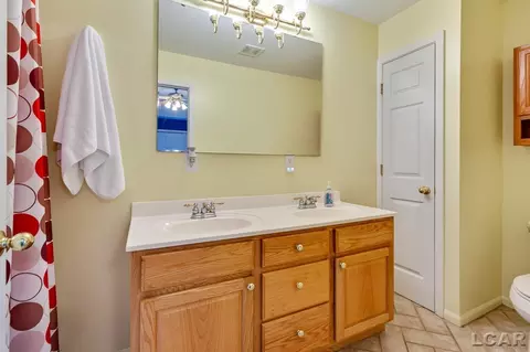226 Joy, Adrian, MI 49221 photo 25