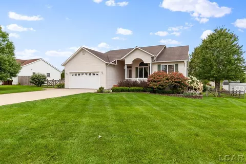 226 Joy, Adrian, MI 49221 photo 40