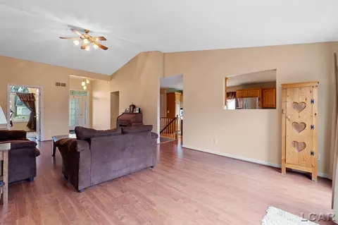 226 Joy, Adrian, MI 49221 photo 8