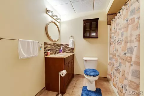 226 Joy, Adrian, MI 49221 photo 33