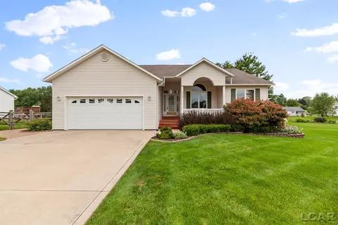 226 Joy, Adrian, MI 49221 photo 39