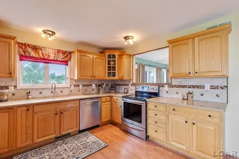 226 Joy, Adrian, MI 49221 photo 15