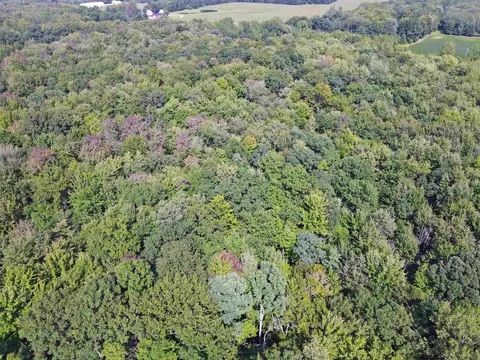 3724 S Fordney, Hemlock, MI 48626 photo 6