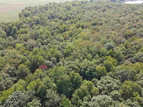 3724 S Fordney, Hemlock, MI 48626 photo 4