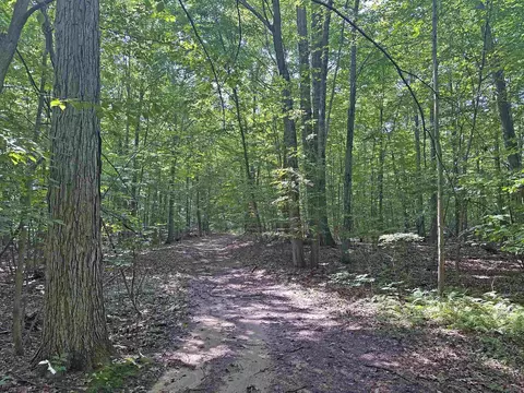 3724 S Fordney, Hemlock, MI 48626 photo 9