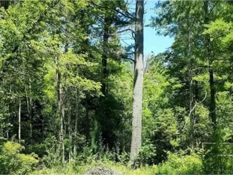 0 Meredith Grade, Gladwin, MI 48624 photo 2