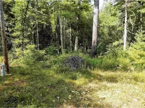 0 Meredith Grade, Gladwin, MI 48624 photo 3