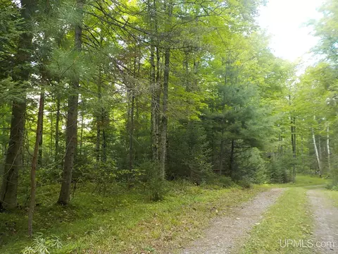 5 Ac, Crystal Falls, MI 49920