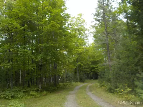 5 Ac, Crystal Falls, MI 49920