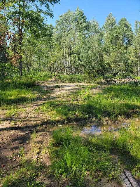 V/l Hemlock, Lake, MI 48632