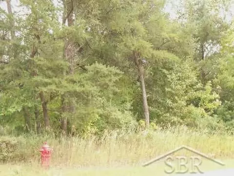 Cedar Lake, Oscoda, MI 48750