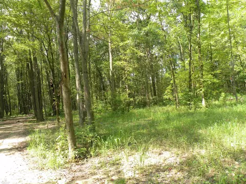 00 Meldrum, Casco, MI 48064 photo 6