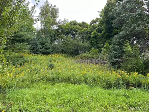 Tbd Maple, Michigamme, MI 49861