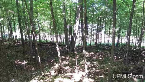 1521 Brookside, Houghton, MI 49931