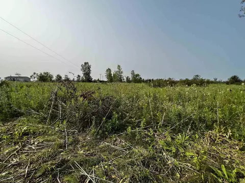 9000 Britton, Britton, MI 49229 photo 3