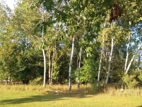 Lot 225 Linksview, Gladwin, MI 48624 photo 3