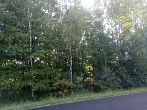 Lot 225 Linksview, Gladwin, MI 48624 photo 7