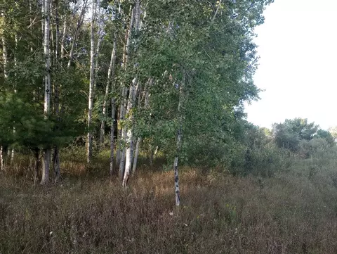 Lots 246-247 Linksview, Gladwin, MI 48624 photo 3