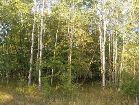 Lots 246-247 Linksview, Gladwin, MI 48624 photo 7
