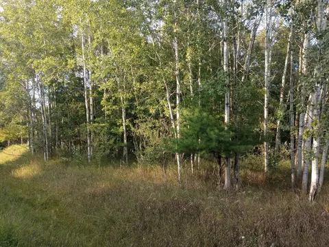 Lots 246-247 Linksview, Gladwin, MI 48624 photo 2