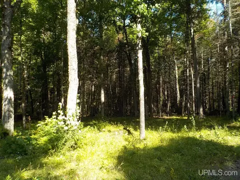 182 Wests, Amasa, MI 49903 photo 14