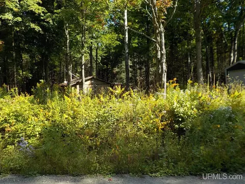 182 Wests, Amasa, MI 49903 photo 33