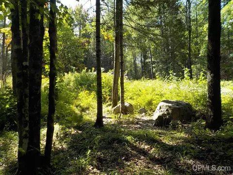 182 Wests, Amasa, MI 49903 photo 22