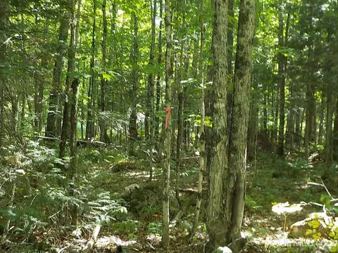 182 Wests, Amasa, MI 49903 photo 28