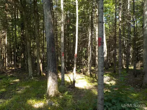 182 Wests, Amasa, MI 49903 photo 15