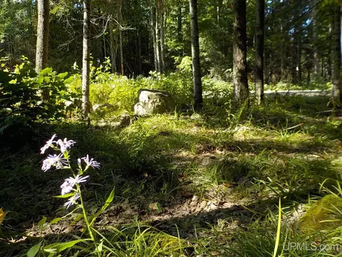 182 Wests, Amasa, MI 49903 photo 24