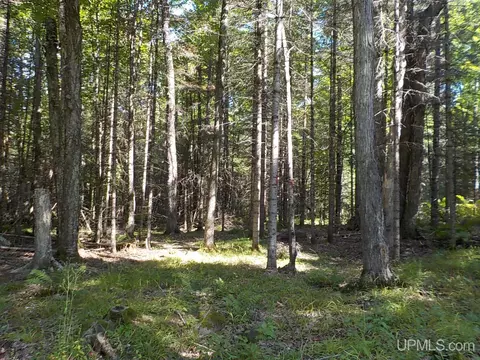 182 Wests, Amasa, MI 49903 photo 20