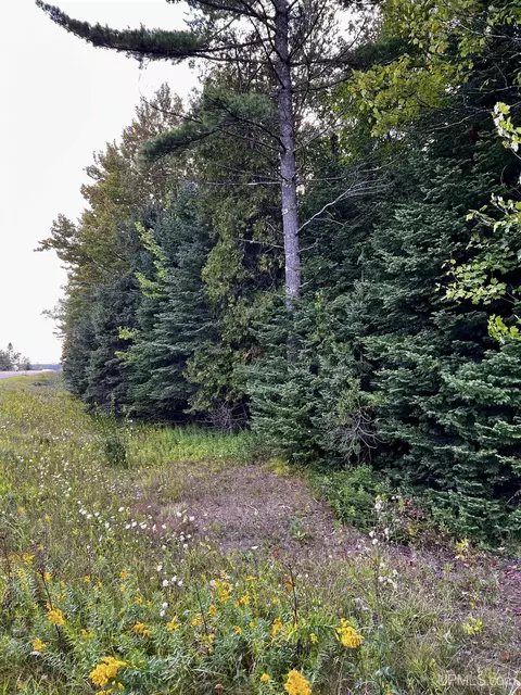 Lot #2 Hemlock Views, Manistique, MI 49854