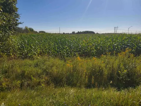Brown Vl, Avoca, MI 48006 photo 4