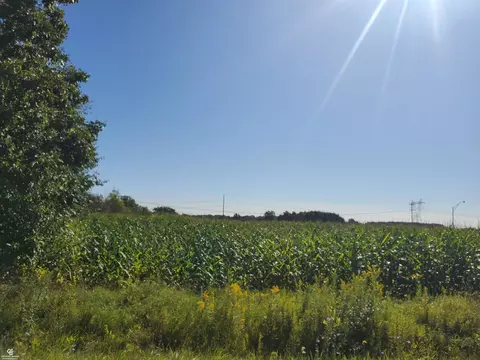 Brown Vl, Avoca, MI 48006 photo 3