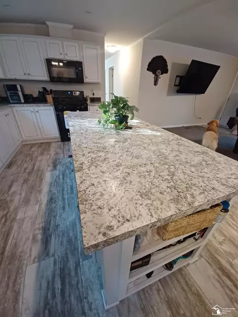 6762 S Ainger, Olivet, MI 49076 photo 8