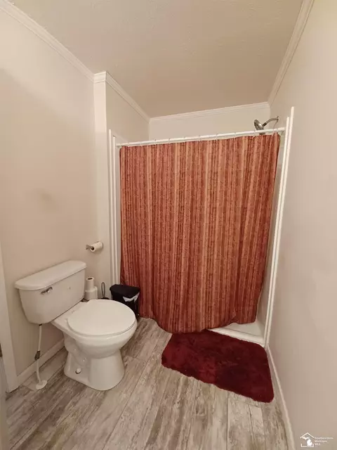 6762 S Ainger, Olivet, MI 49076 photo 19