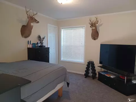 6762 S Ainger, Olivet, MI 49076 photo 15