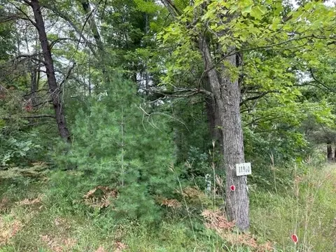 11970 N Clare, Harrison, MI 48625