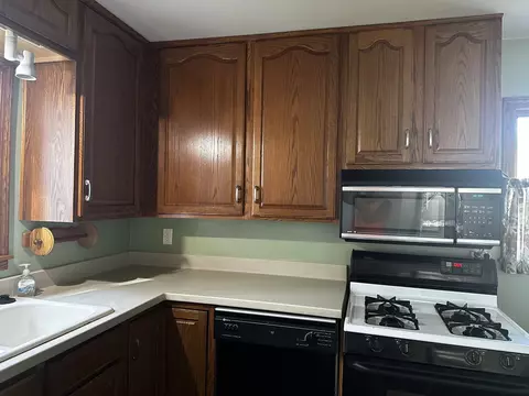 211 Darrow, Clio, MI 48420 photo 10