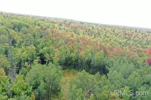Tbd Us2, Marenisco, MI 49947