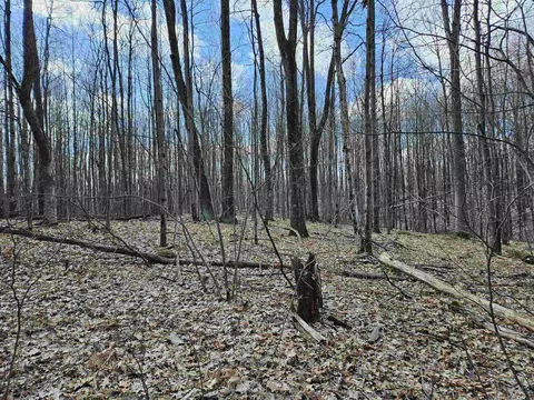 Nhn N Harrison, Harrison, MI 48625 photo 8