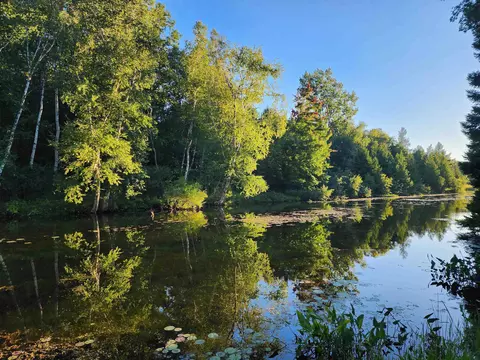8757 W Eight Point Lk, Lake, MI 48632