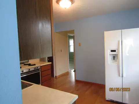 717 S Occidental, Tecumseh, MI 49286 photo 8