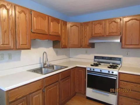 717 S Occidental, Tecumseh, MI 49286 photo 6